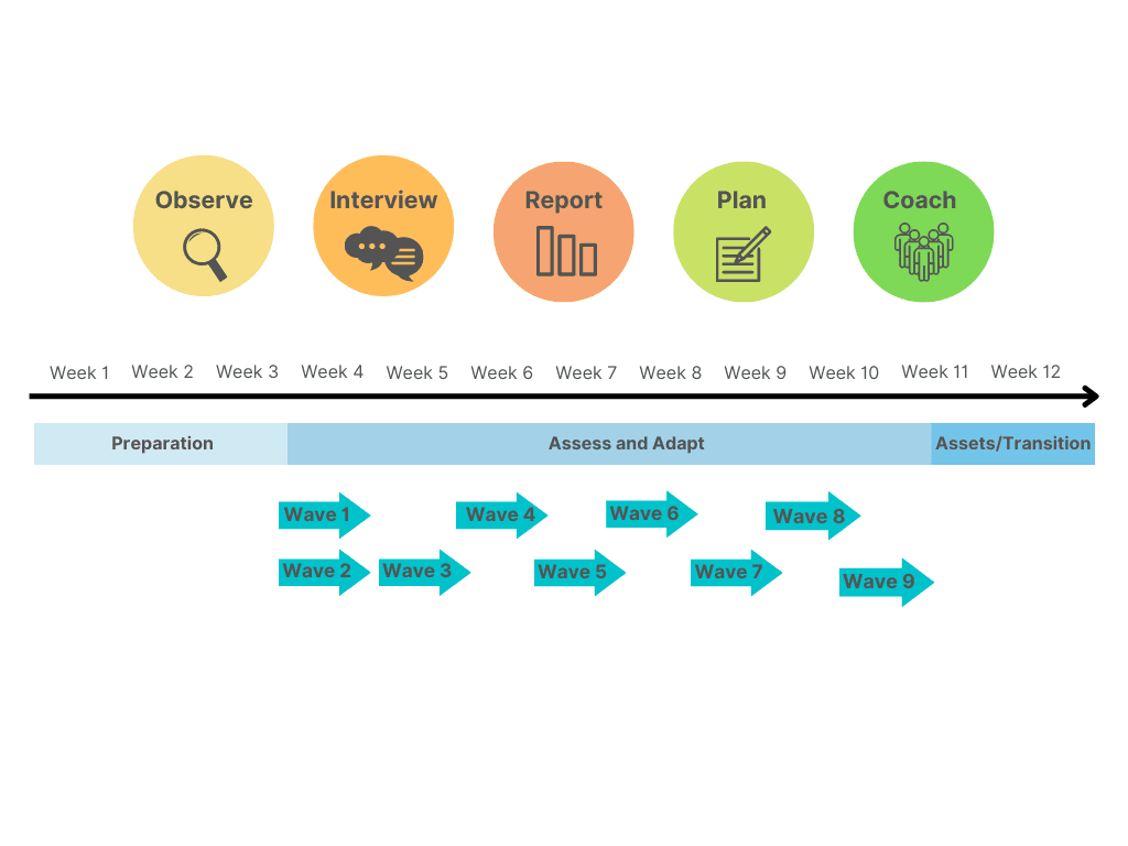 12-week Timeline of Delivery Leadership Implementation