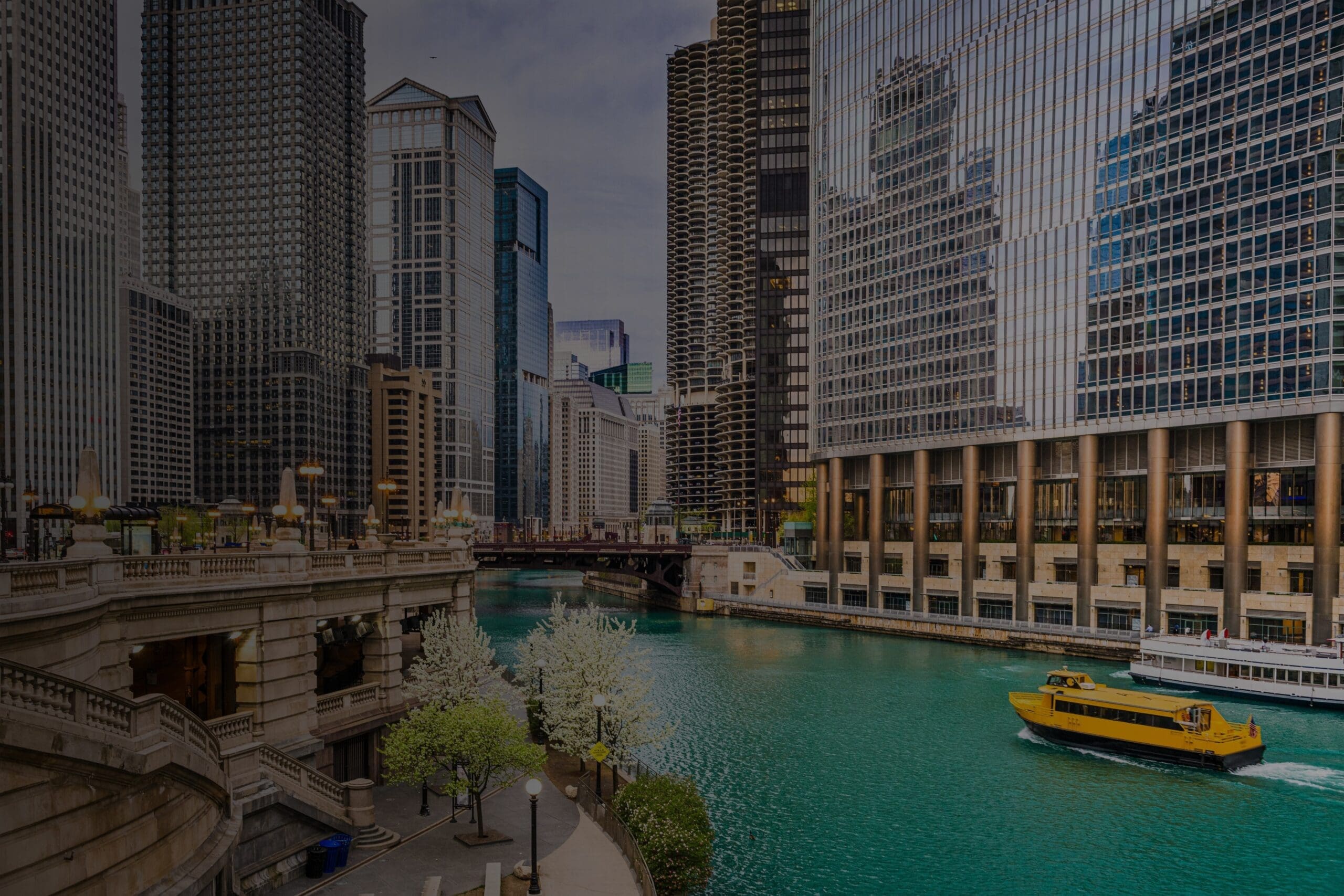 Chicago Skyline