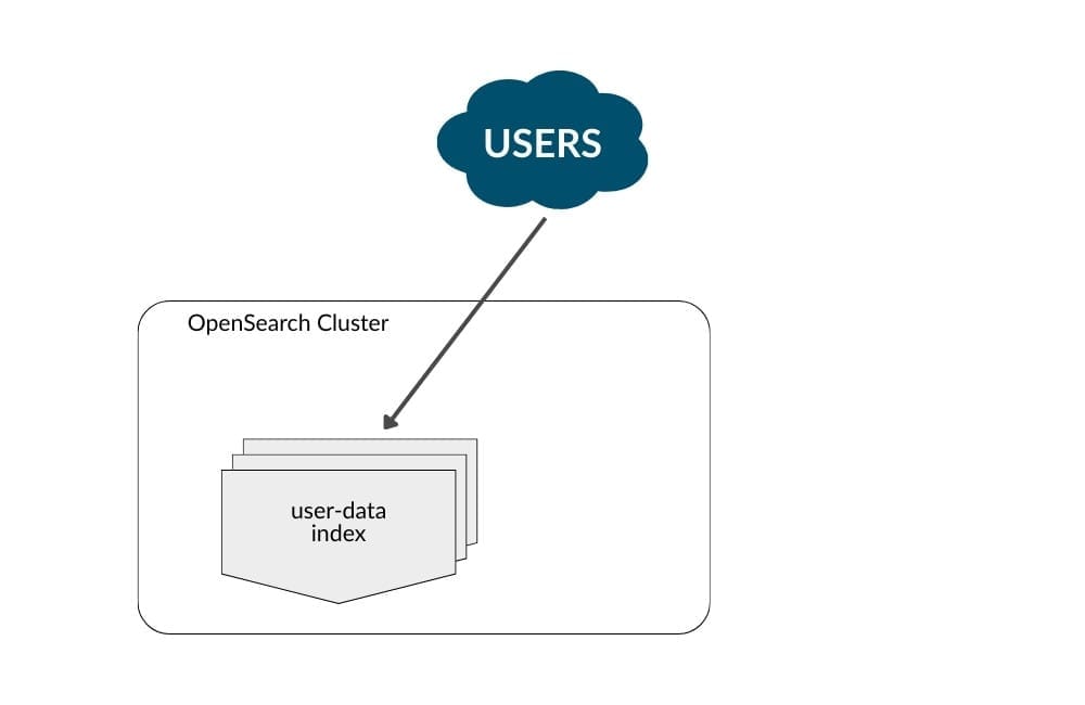 Figure 4: Sample OpenSearch cluster with 1 index